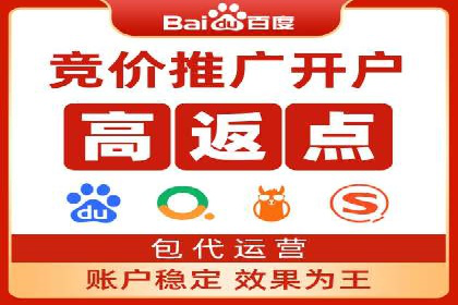 关键词竞价排名策略案例分析